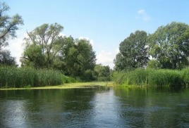 Муниципальный экологический конкурс «Малые реки Липецкой области».