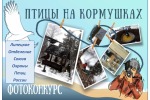 Пернатые гости кормушек.